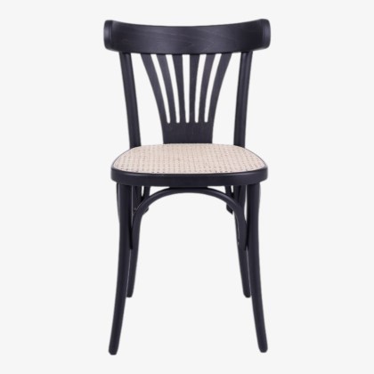 154S CANE (2)-Photoroom